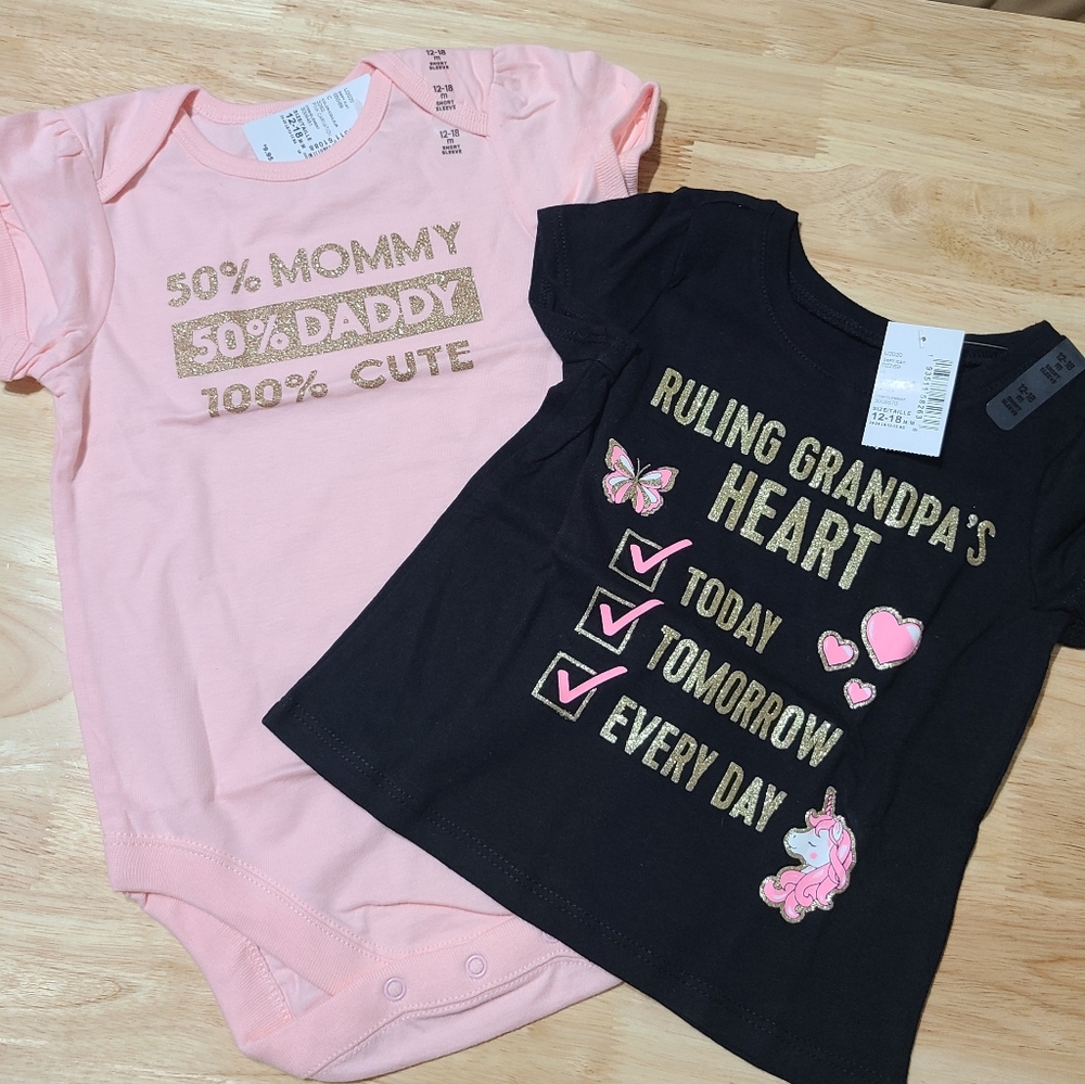 Baby Girl Bundle Onesie and T-Shirt 12-18 months